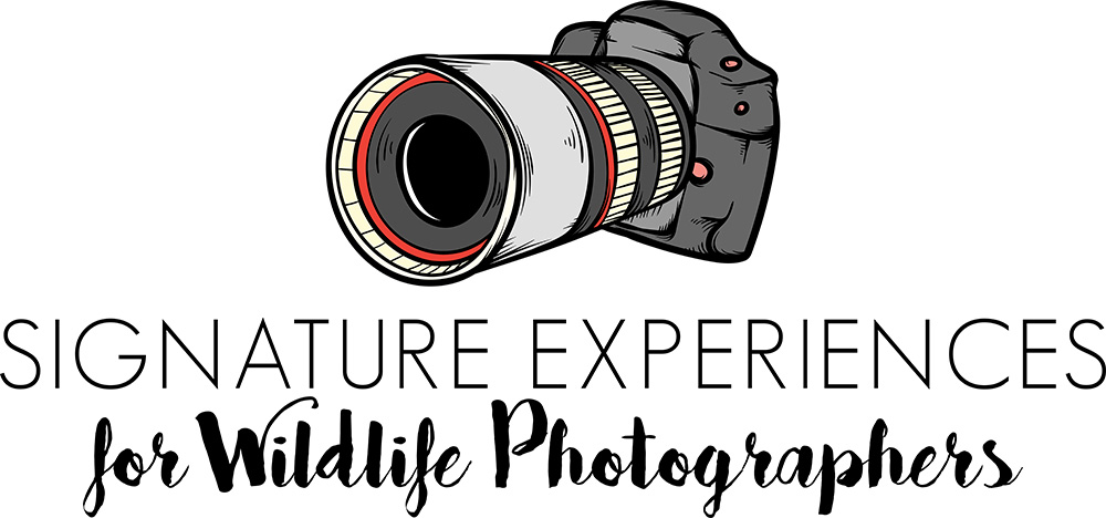 Signature Experience Logo
